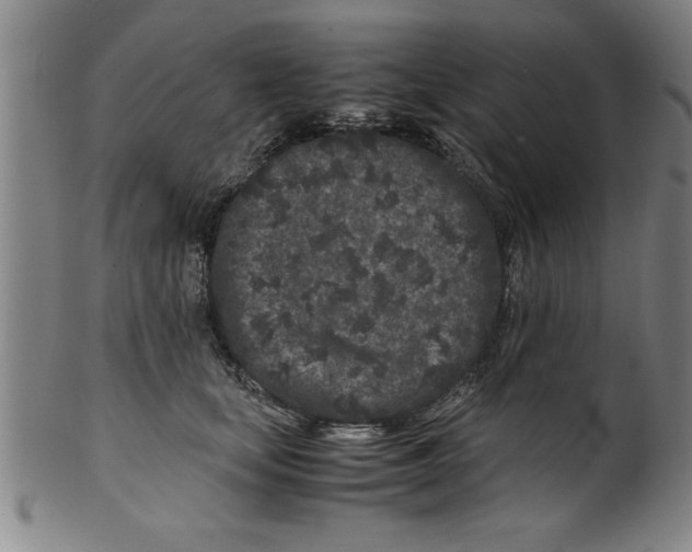 X0000099470659200806061221