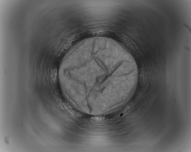 X0000099470660200806061221