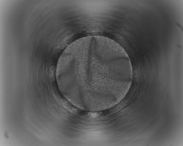 X0000099470662200806061221