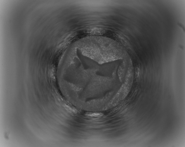 X0000099470663200806061221