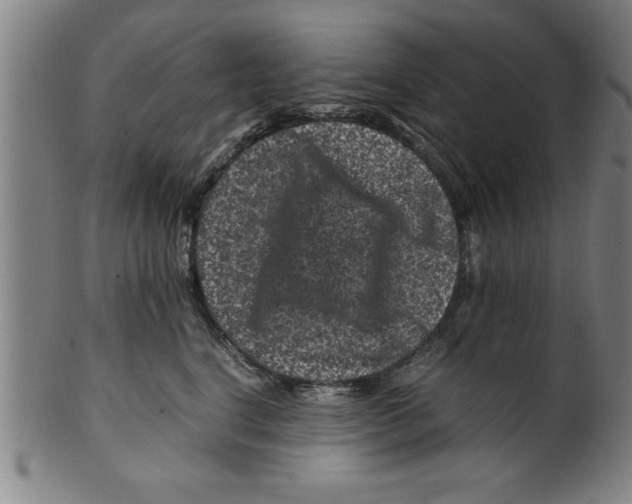 X0000099470664200806061221