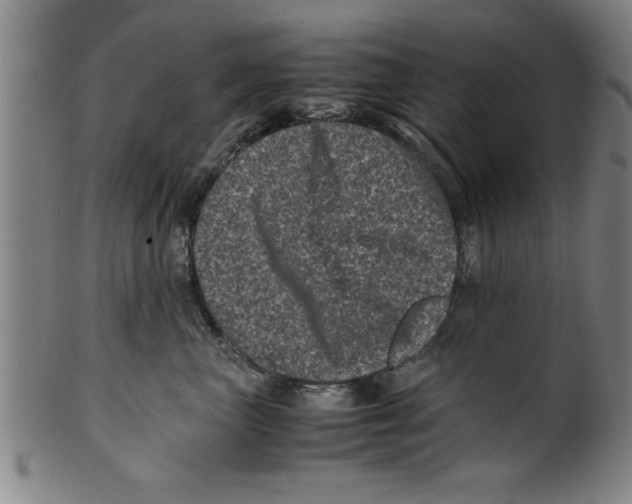 X0000099470667200806061221