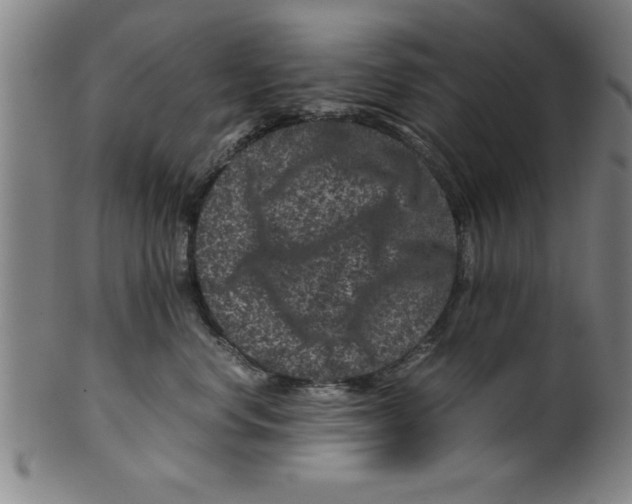 X0000099470668200806061221