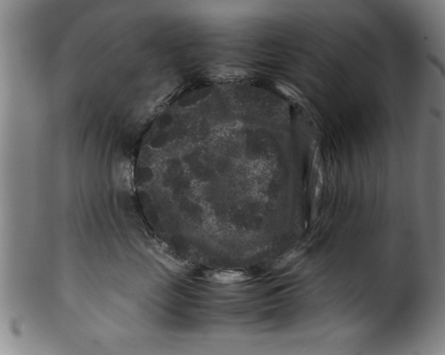 X0000099470669200806061221