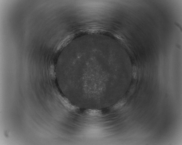 X0000099470670200806061221