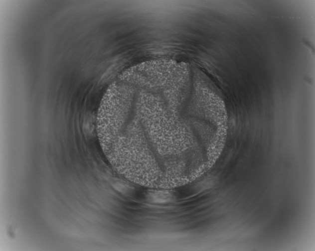 X0000099470671200806061221