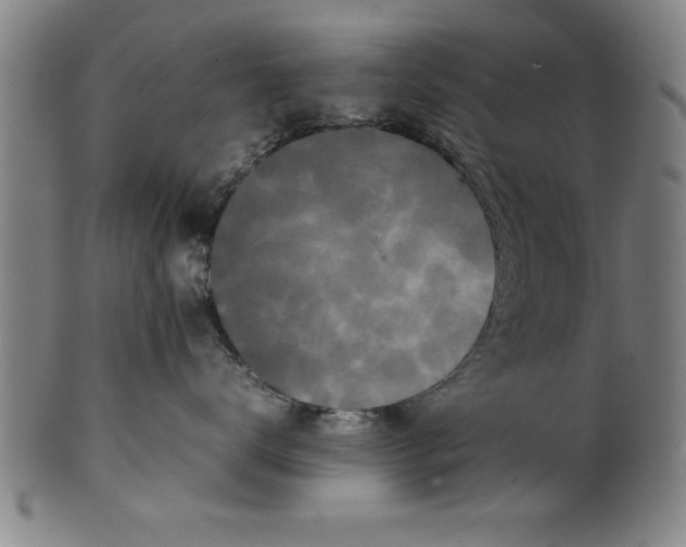 X0000099470672200806061221