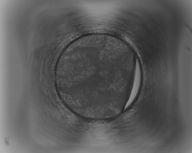 X0000099470673200806061220