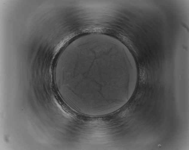 X0000099470674200806061220