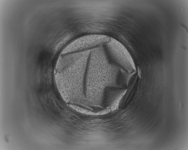 X0000099470675200806061220