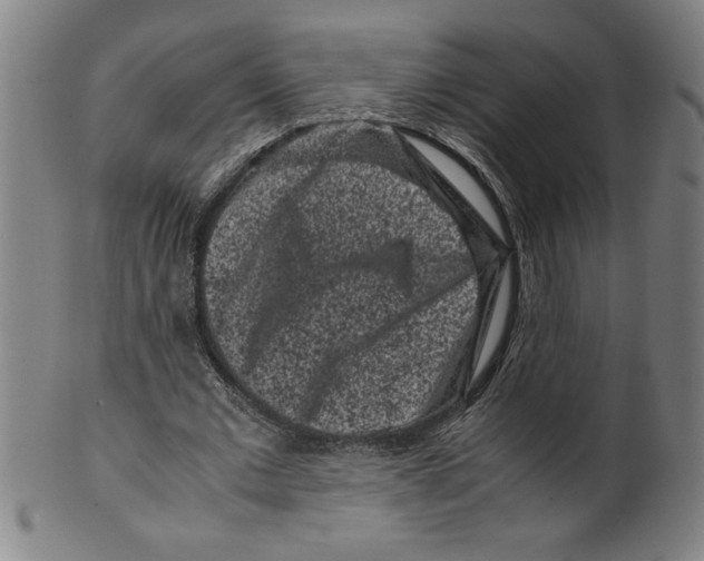 X0000099470677200806061220