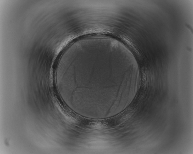 X0000099470678200806061220