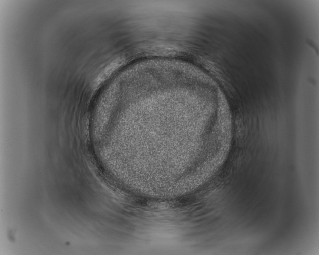 X0000099470679200806061220