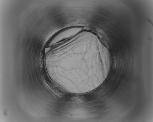 X0000099470680200806061220