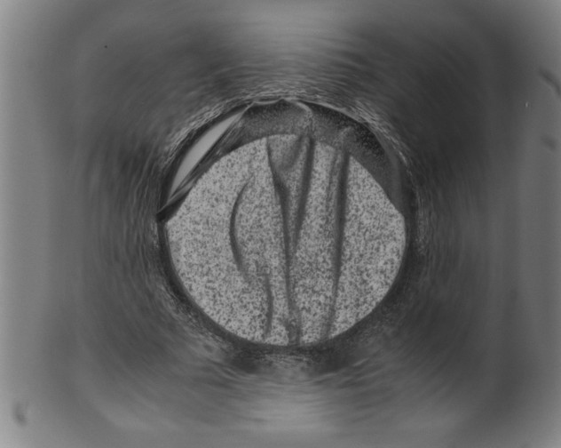 X0000099470681200806061220