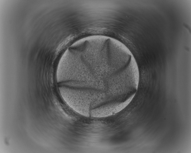 X0000099470682200806061220