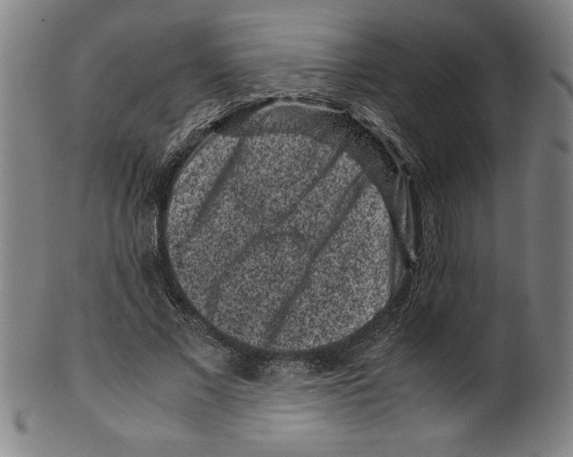 X0000099470685200806061220