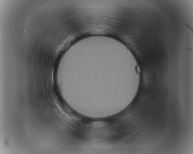 X0000099470686200806061220