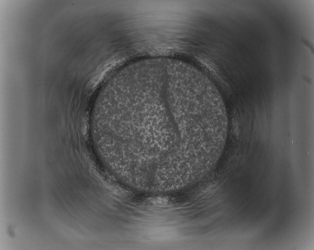 X0000099470687200806061220