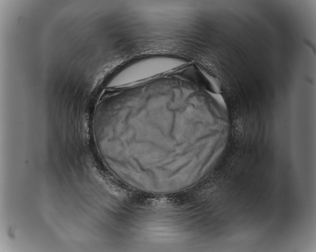 X0000099470688200806061220