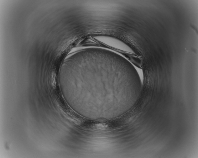 X0000099470692200806061220