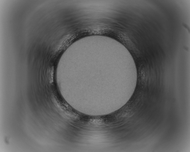 X0000099470694200806061220