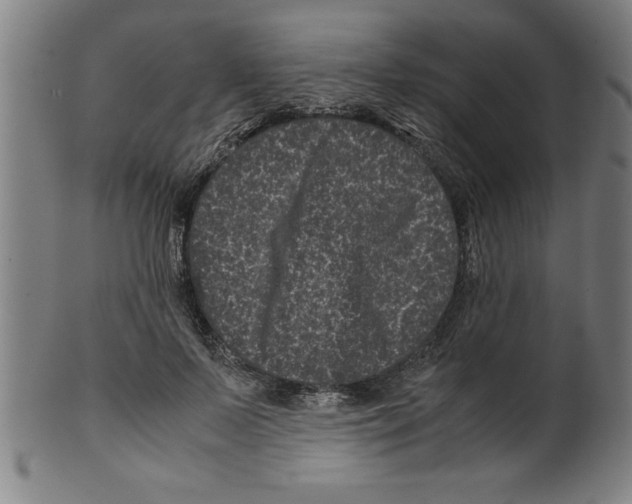 X0000099470695200806061220