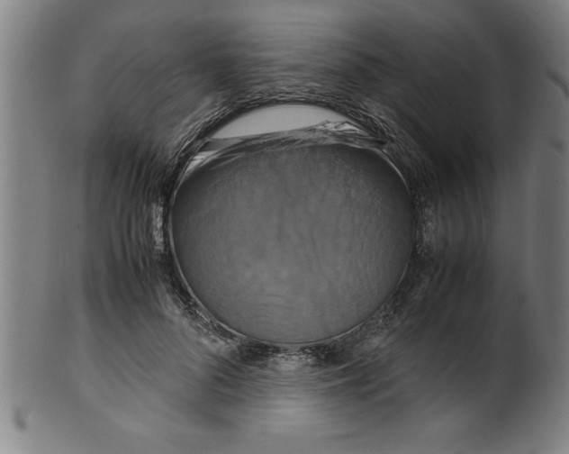 X0000099470696200806061220