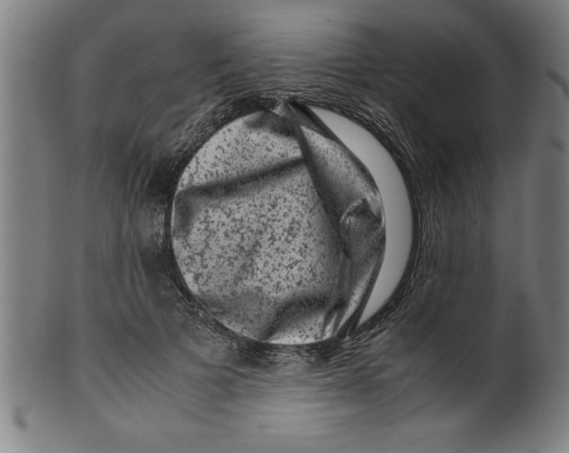 X0000099470697200806061220