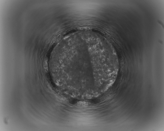 X0000099470699200806061220