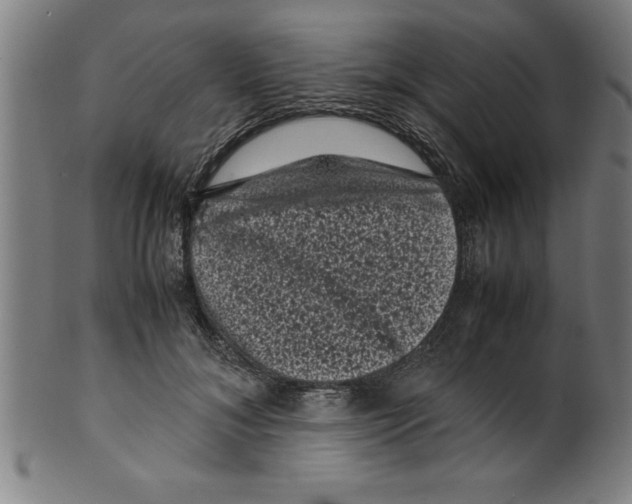 X0000099470700200806061220