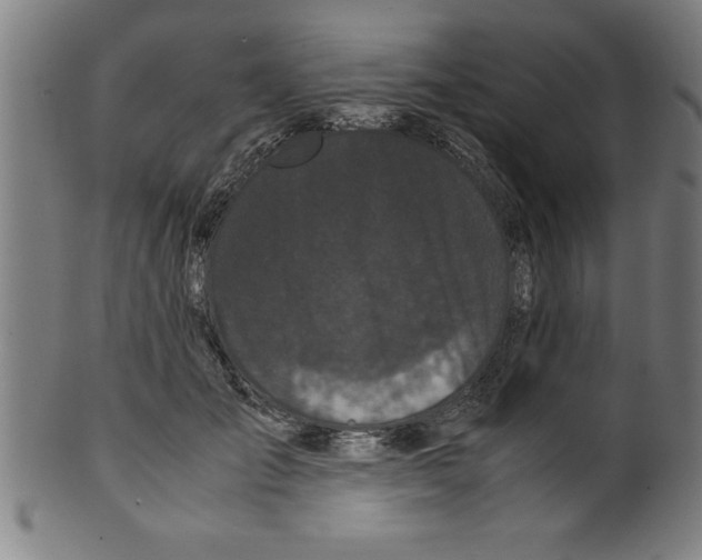 X0000099470701200806061220