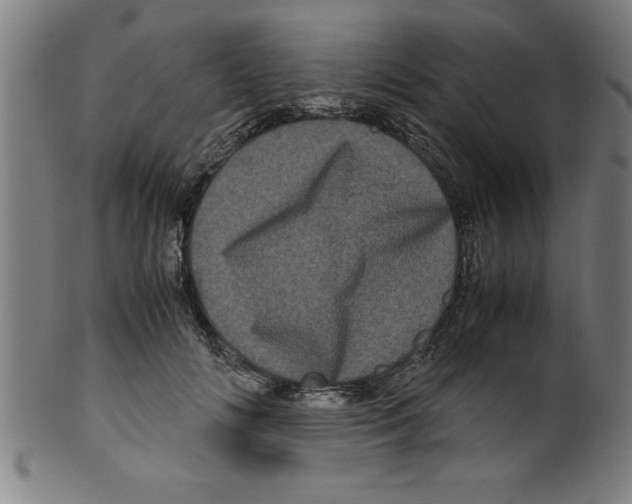 X0000099470702200806061220