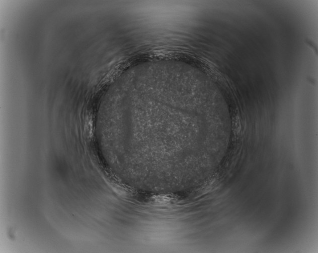 X0000099470703200806061220