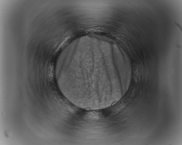 X0000099470708200806061220