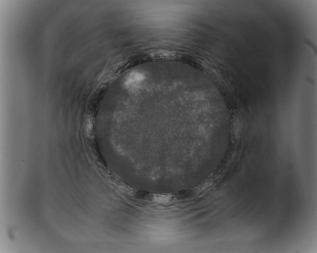 X0000099470709200806061220