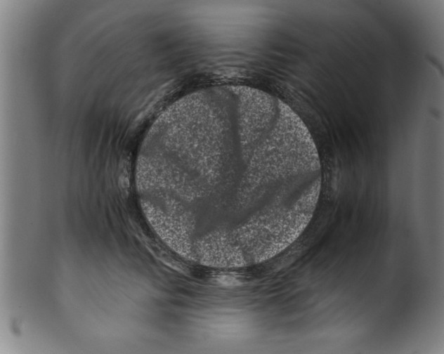 X0000099470710200806061220