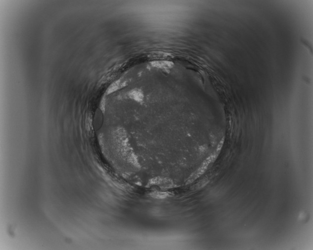 X0000099470711200806061220