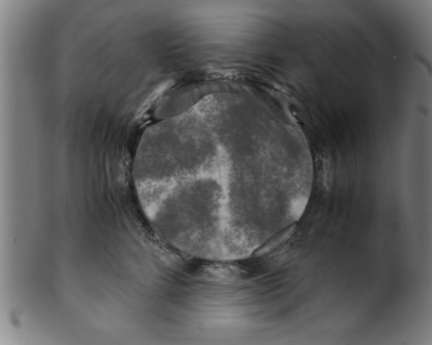 X0000099470712200806061220