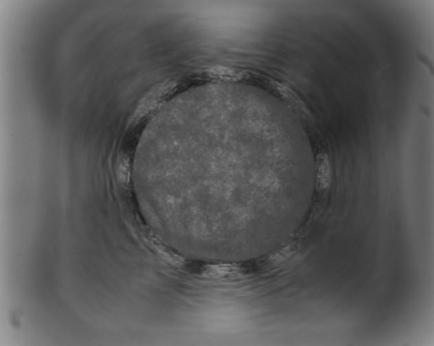 X0000099470713200806061220