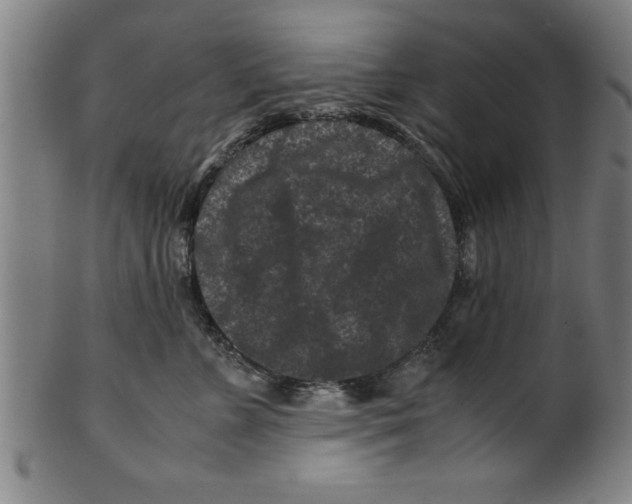 X0000099470715200806061220