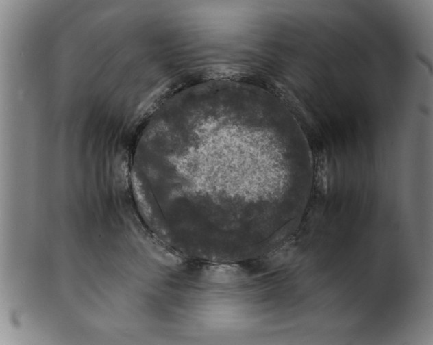 X0000099470716200806061220