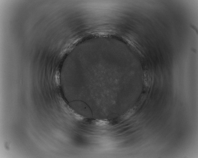 X0000099470718200806061220