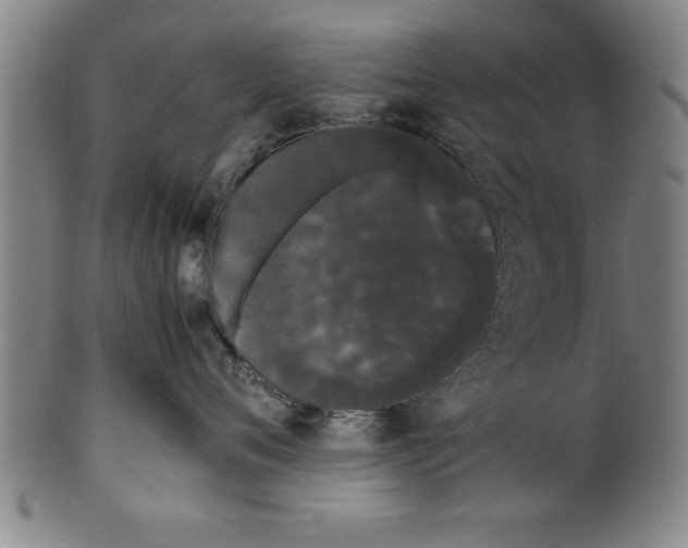 X0000099470720200806061220