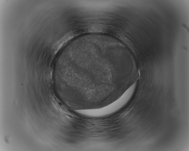 X0000099470723200806061219