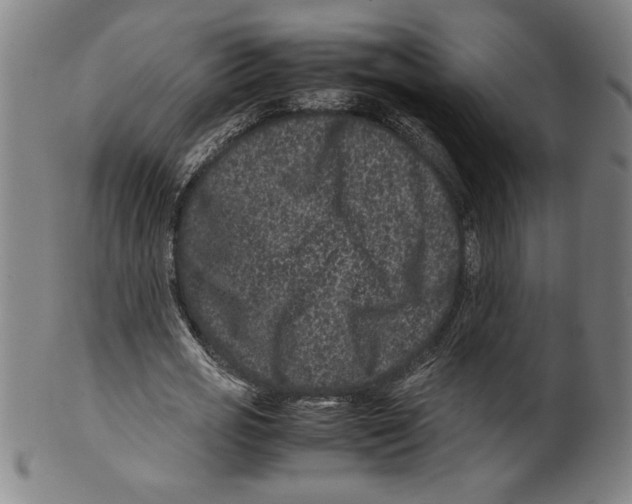 X0000099470725200806061219