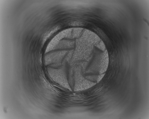 X0000099470727200806061219