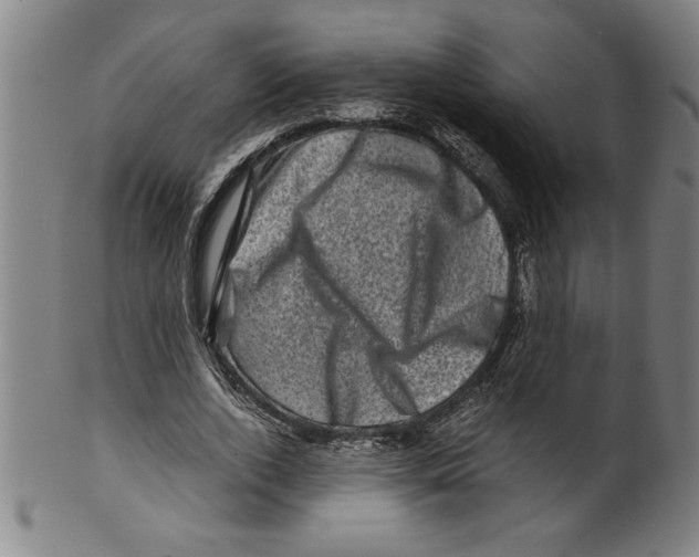 X0000099470728200806061219