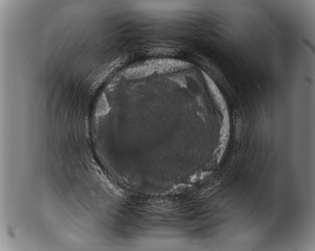 X0000099470729200806061219