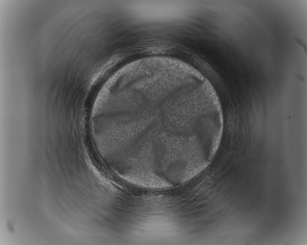 X0000099470730200806061219